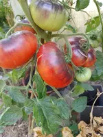 IMG_20220816_152818.webp