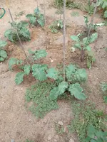 IMG_20220816_121359.webp