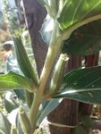 IMG_20220814_161636.jpg
