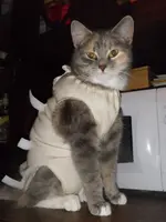IMGP1735.webp