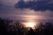IMG_5160.webp
