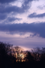 IMG_5158.webp