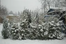 DSC_7447.webp