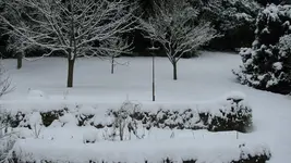 032.webp
