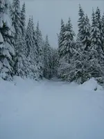 Harz.webp