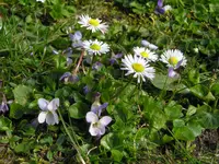 P4049227.webp