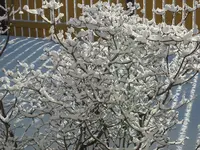 IMG_0188.webp