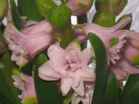 004.webp