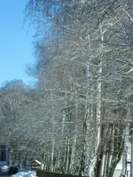 IMG_0200.webp