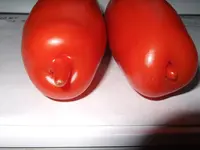 Tomaten Manderl + Weiberl 011 shrinked.webp
