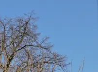 DSC02416.webp