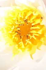 IMG_0008 (2).webp