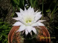 DSCI0991.webp