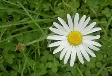 Januar 2010 1179 v.webp