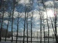 IMG_0204.webp