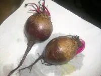 Rote Beete 004.webp