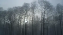 SDC10041.webp
