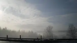SDC10052.webp