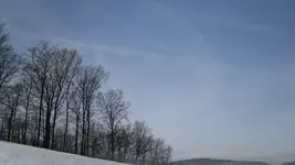 SDC10048.webp