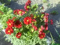 9986.webp