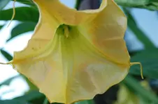 DSC_2569.webp