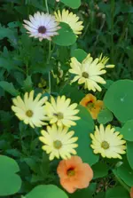 DSC_2623.webp