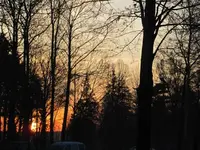 IMG_0219.webp