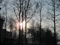IMG_0226.webp