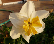 P1030456.webp