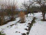 Garten Febr.2010 002.jpg