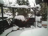 PIC00171.webp