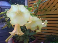 9991.webp