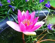 IMG_Klein.webp