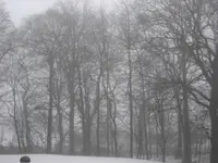 Februar 2010 002.webp