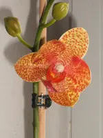 DSCF3969.webp