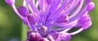 ratebild.webp