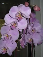 IMG_0870 _ 72pix.webp