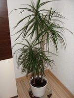 image1001.webp