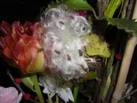 CIMG8746.webp