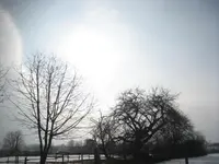 Februar 2010 017.webp
