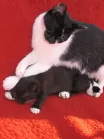 Mama und Kind 1.webp
