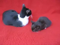 Mama und Kind 3.webp