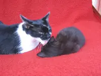 Mama und Kind 4.webp