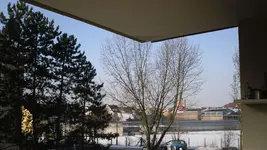 SDC10072.webp