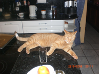Bild 021.webp