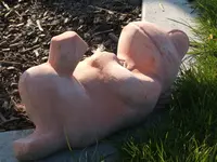 Kleingarten02.04.09 015.webp