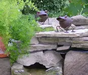 2008_0830ICH0009.webp