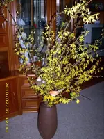 JD500514.webp