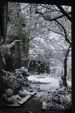 IMG_1104.webp