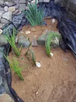 Bild 035.webp